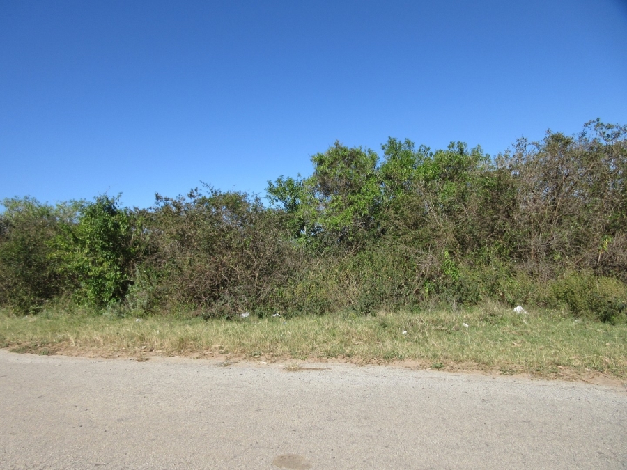 0 Bedroom Property for Sale in Bathurst Eastern Cape